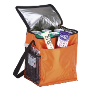Cooler Bag